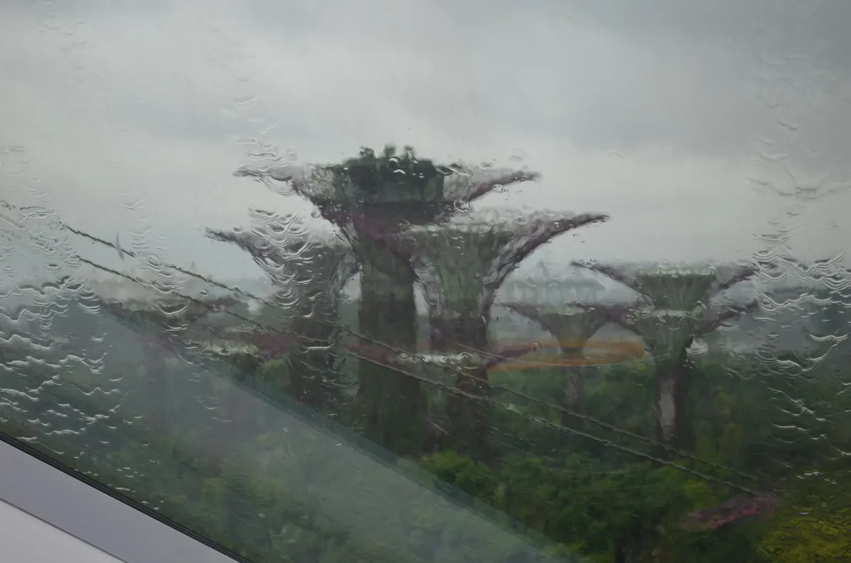 La forêt verte de Singapour.